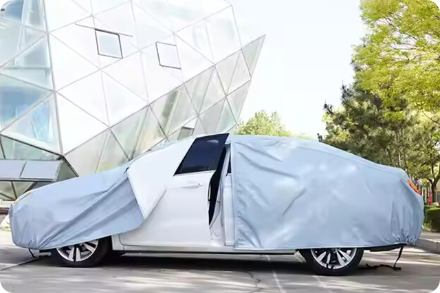 car-cover-application