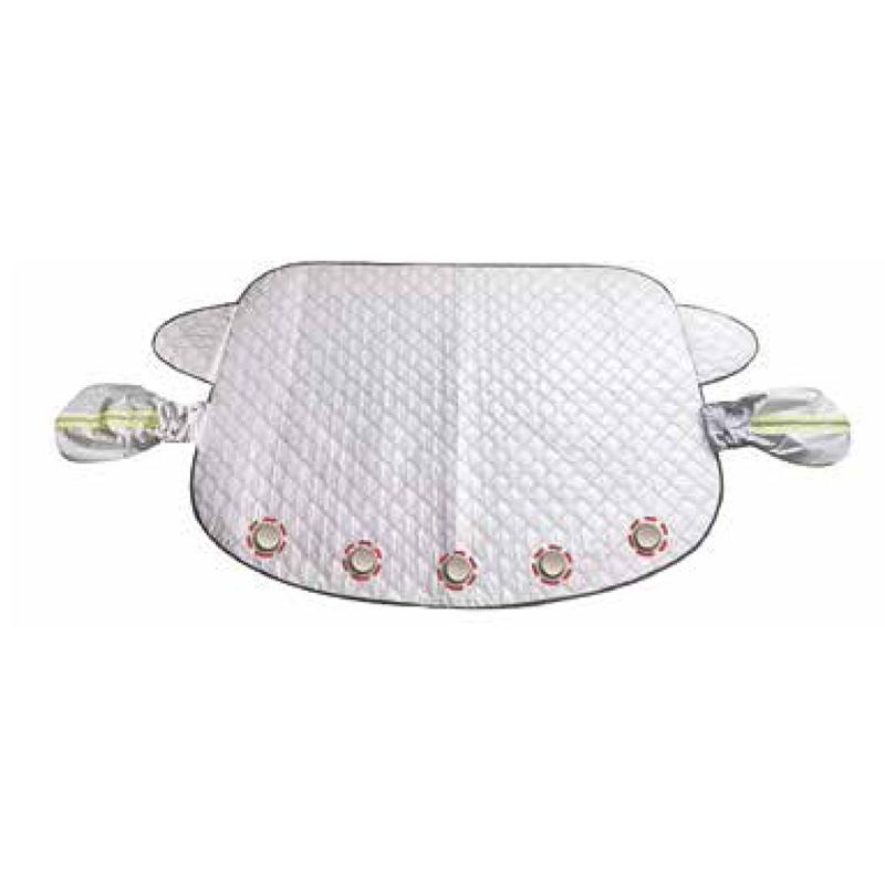 Windscreen Protector
